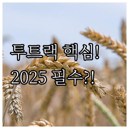 2025 혁신성장 투트랙 보증 핵심 ..