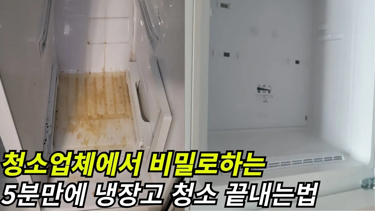 냉장고 쉽게 청소하는 방법_2