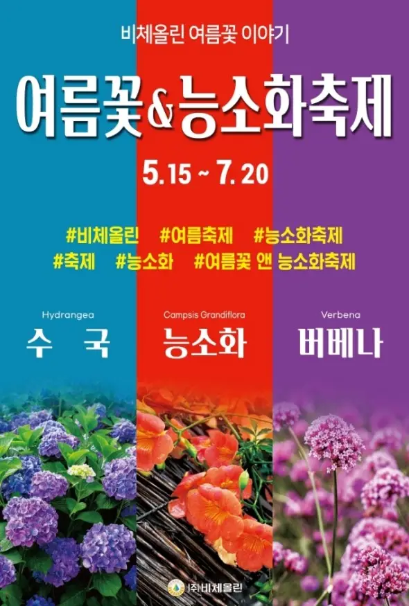 여름꽃 &amp; 능소화축제