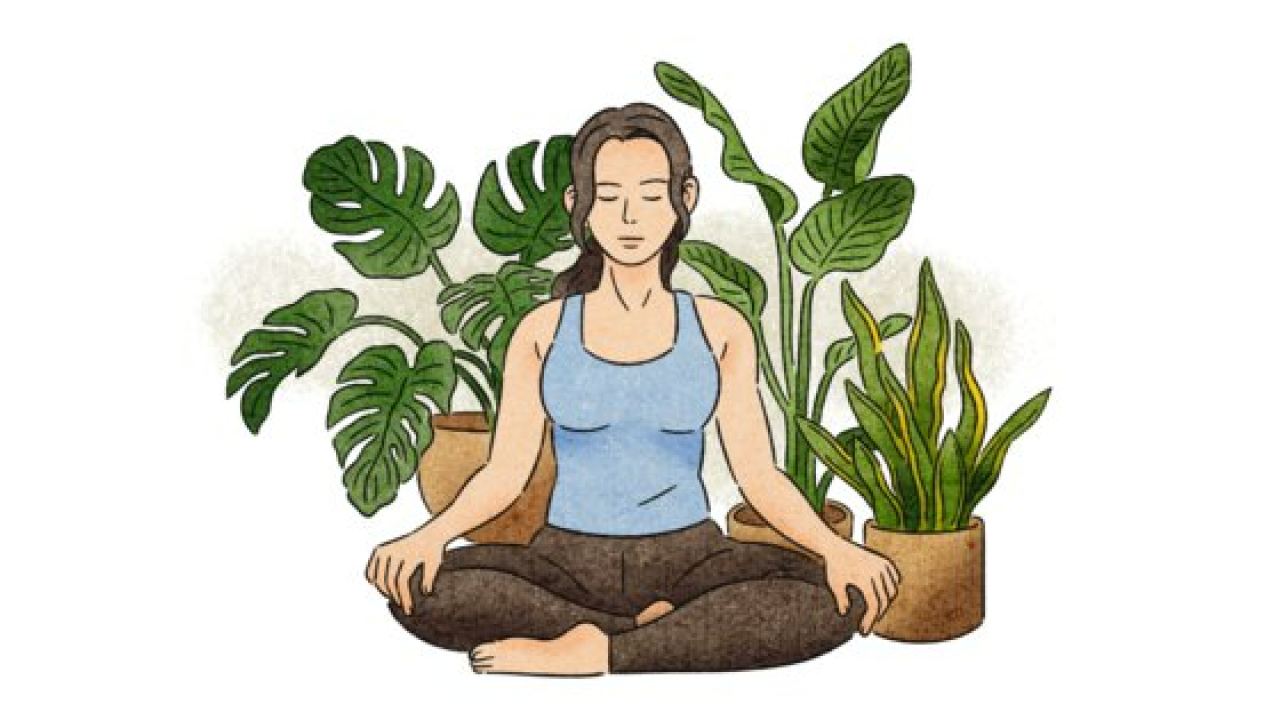 월요병을 극복하는 방법