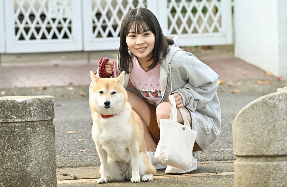 폰타와오늘의산책