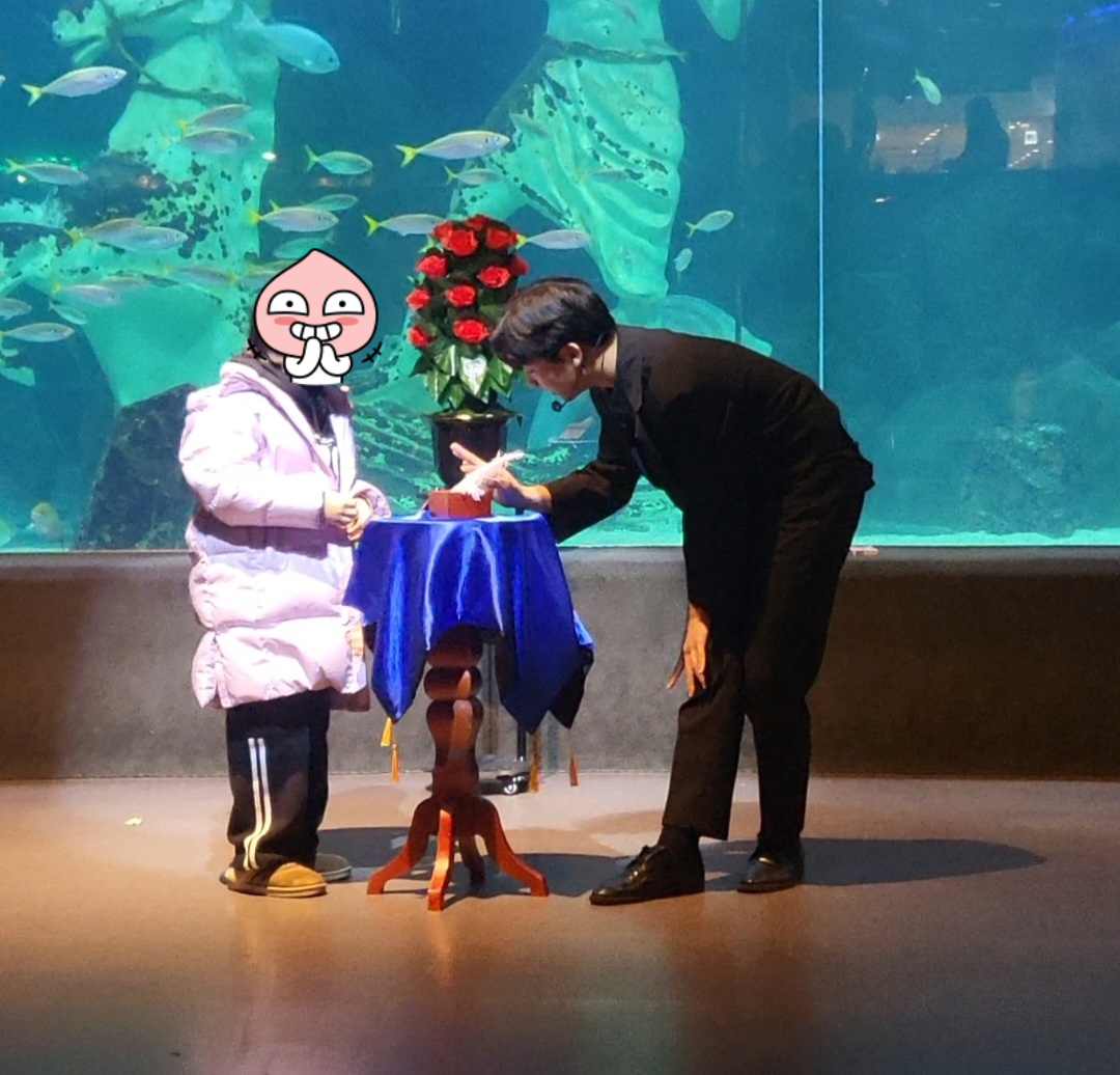 대전 아이와 가볼만한 곳&amp;#44; 신세계 아쿠아리움!(입장권/공연/체험)