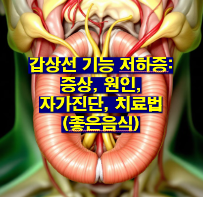 갑상선 기능 저하증: 증상, 원인, 자가진단, 치료법(좋은음식)