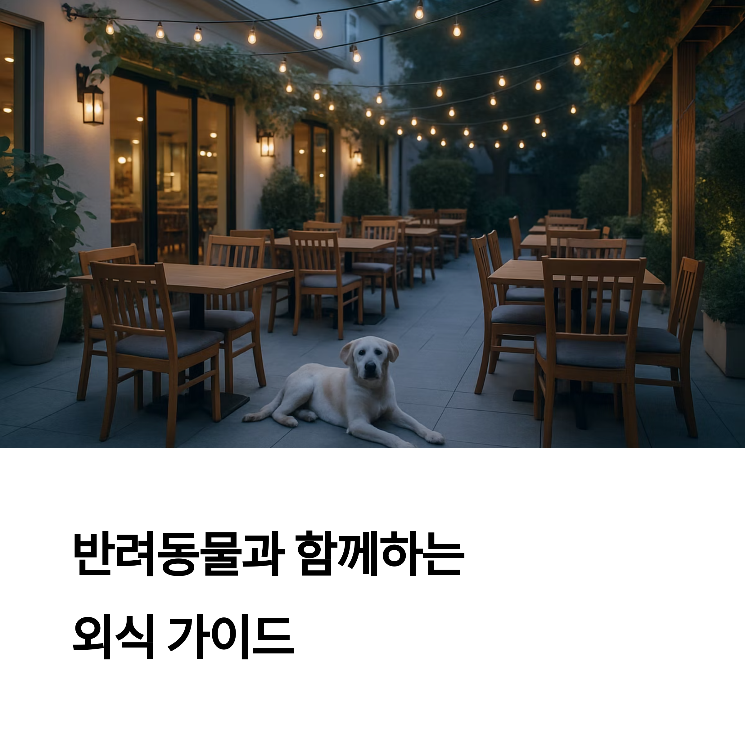 반려동물과 함께하는 외식: 전국 펫프렌들리 맛집 추천