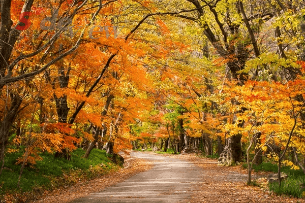 가을여행, 당신은 어디로 떠나시나요?
