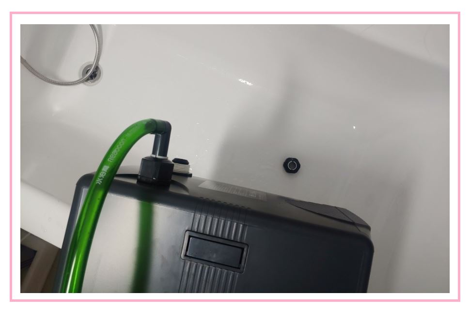 여름철 어항 온도 관리 방법