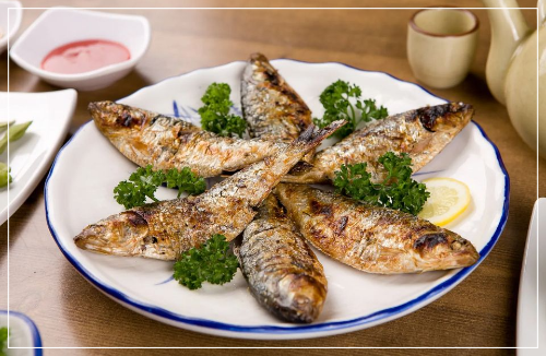 전어 효능 전어 제철 전어회