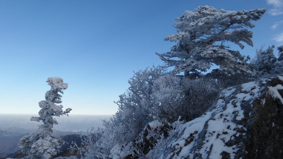 100대명산 등산하기 세번째 지리산(智異山) 은 대한민국을 대표하는 명산이자, 우리 민족의 정신이 깃든 산 남한의 최고 명산 천왕봉의 산