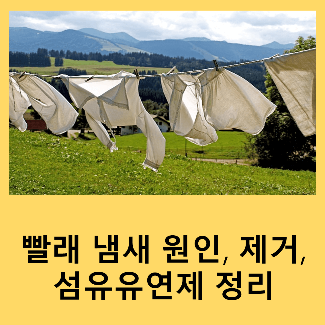 빨래