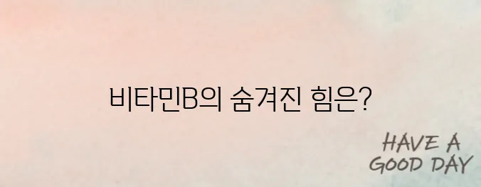 비타민B 영양제의 성분과 효능을 완벽히 분석하여 피로 회복과 면역 강화에 대한 비밀을 밝혀냅니다!