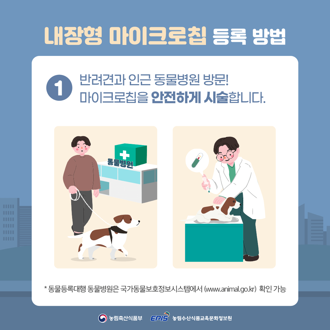 반려동물 등록 비용 내장칩vs외장칩 신청방법