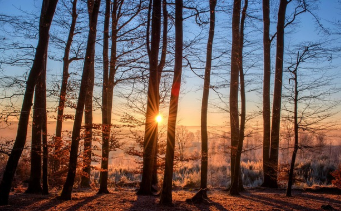 청와대 관람신청 한번에 해결 26