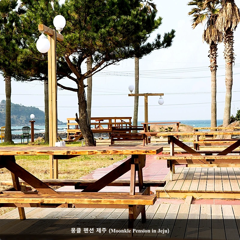 뭉클 펜션 제주 (Moonkle Pension in Jeju)_5