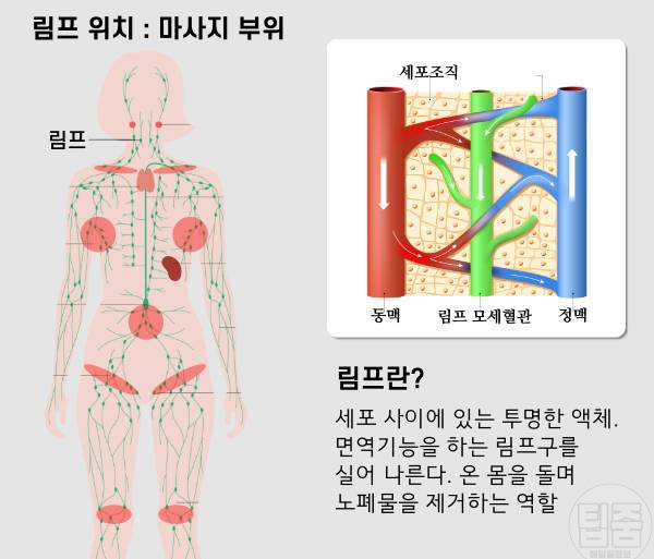 얼굴색 밝아지는법 림프마사지 원리