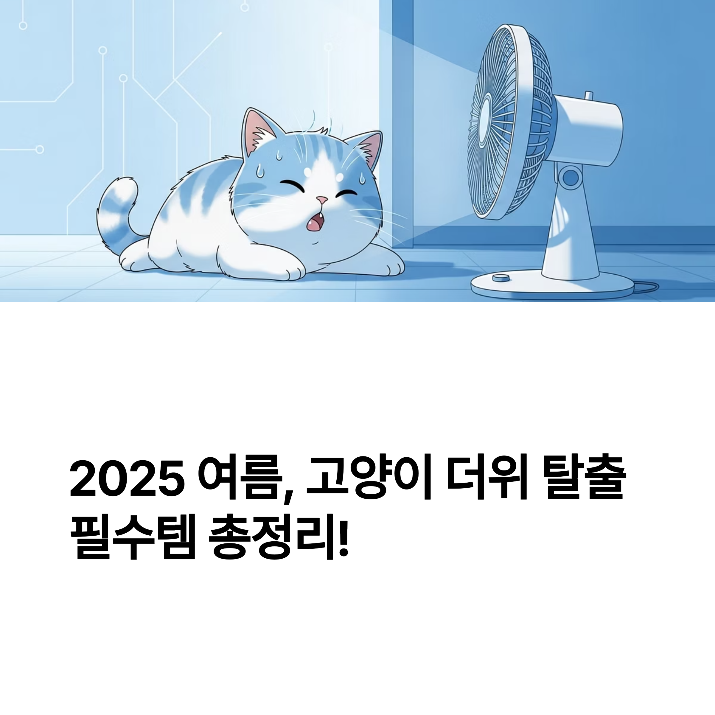 2025 여름, 고양이 더위 탈출 필수템 총정리!