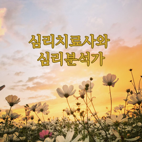 심리치료사와 심리분석가의 차이