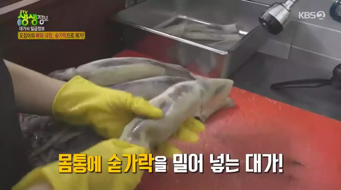 오징어