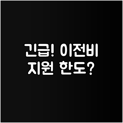 2025년 보복 범죄 피해자 이전비 ..