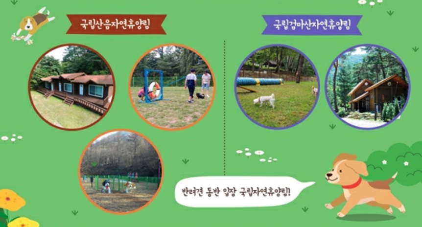 동물입장