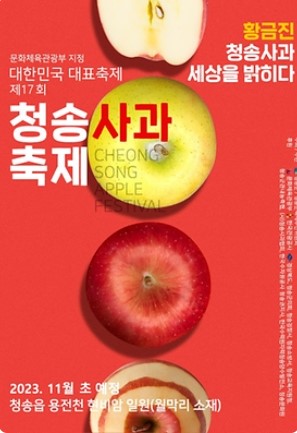 11월 전국 축제 일정표