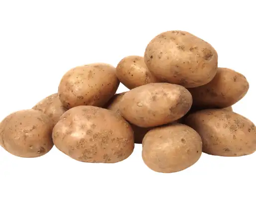 저혈압 증상과 원인&amp;#44; 저혈압에 좋은 영양제