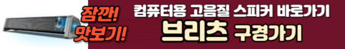 브리츠