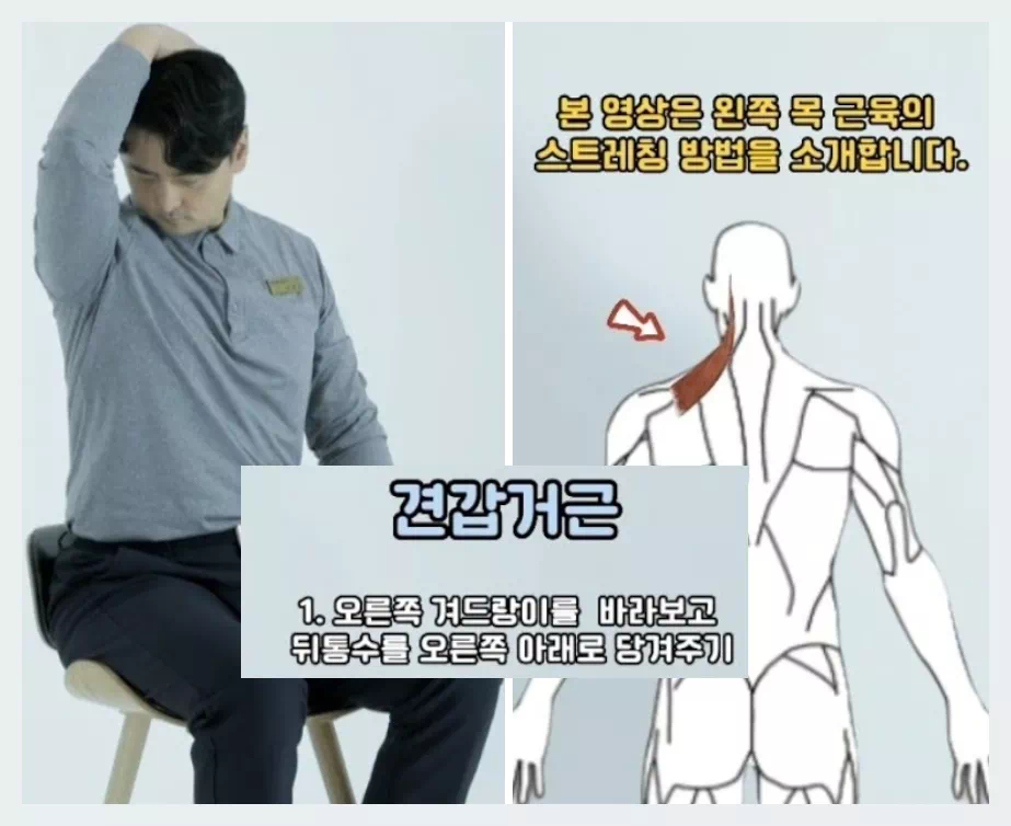 승모근 없애는 운동