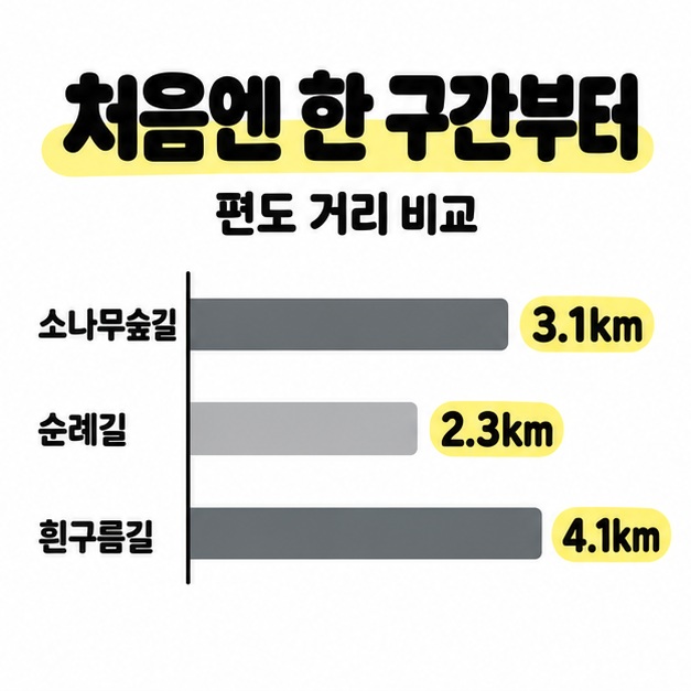 소나무숲길 3.1km, 순례길 2.3km, 흰구름길 4.1km의 편도 거리를 가로 막대와 숫자로 비교한 도식