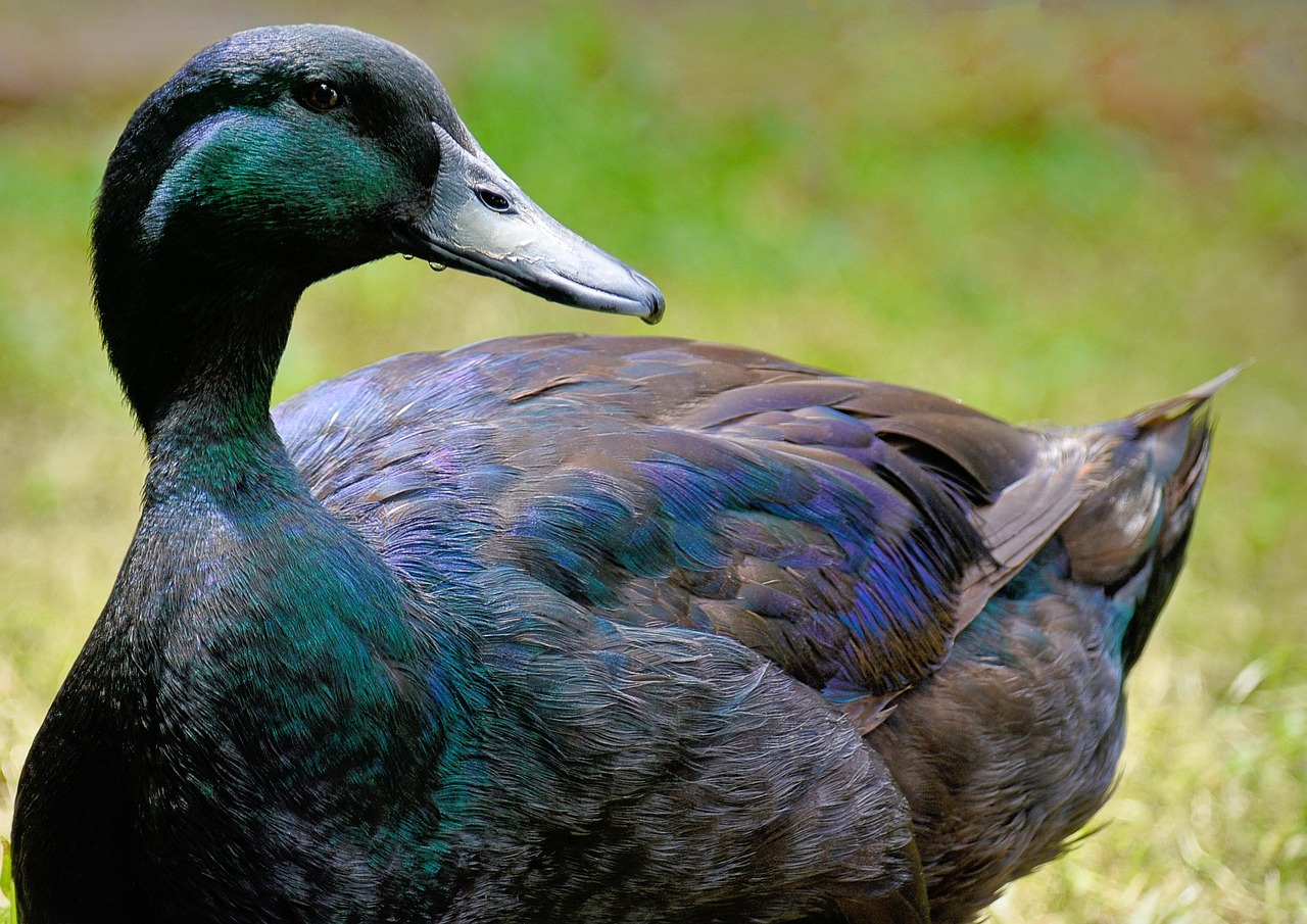 2025 실수령액 계산기