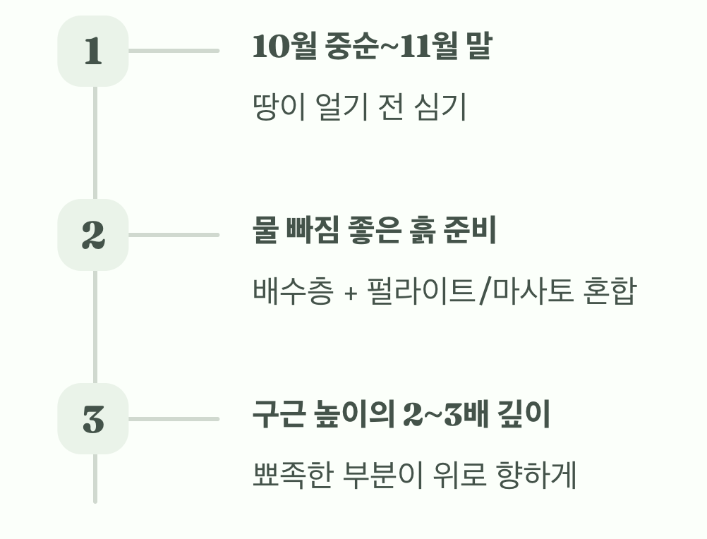 실패 없는 시작, 구근 심는 시기와 방법