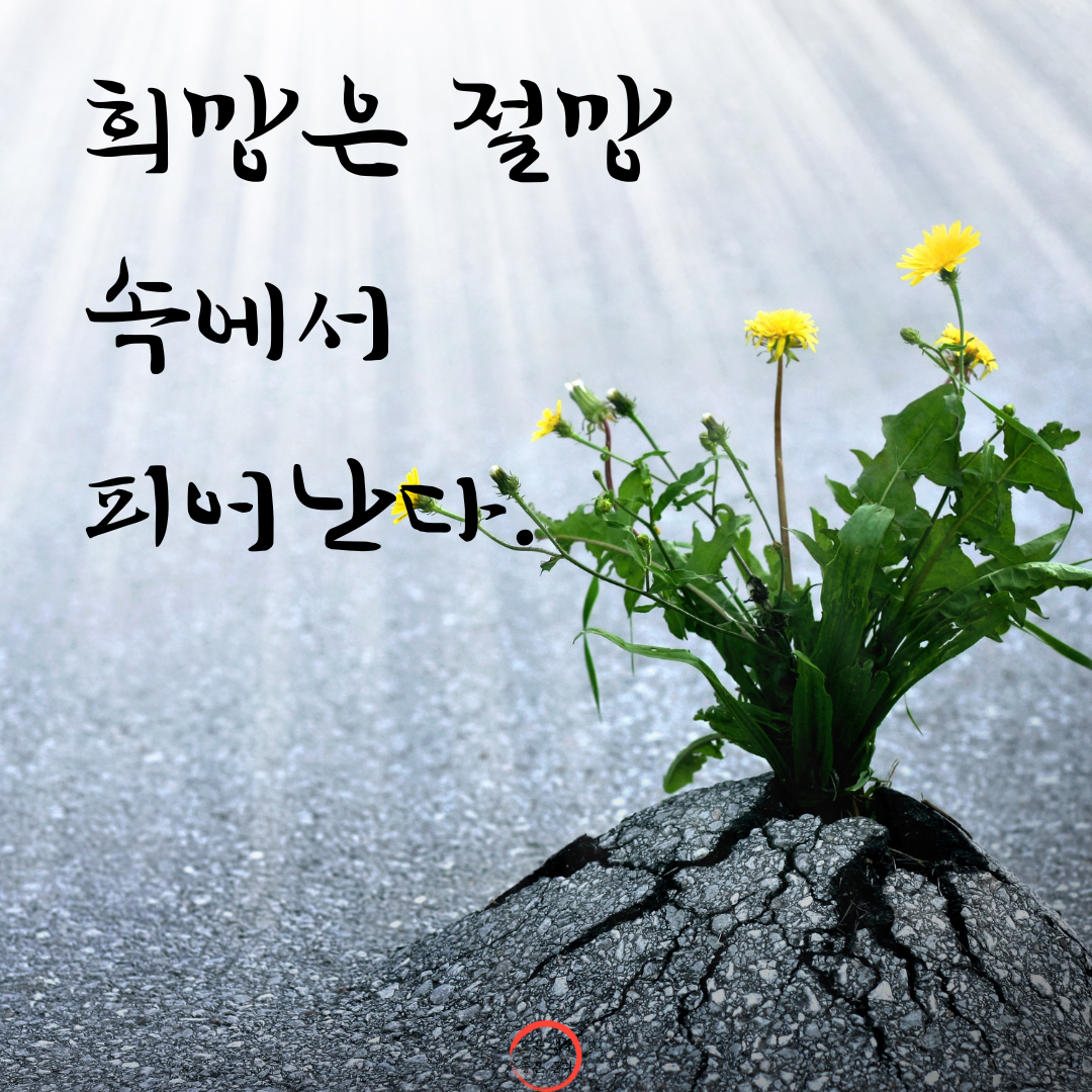 짧고 좋은 글귀 인생 명언 모음 이미지