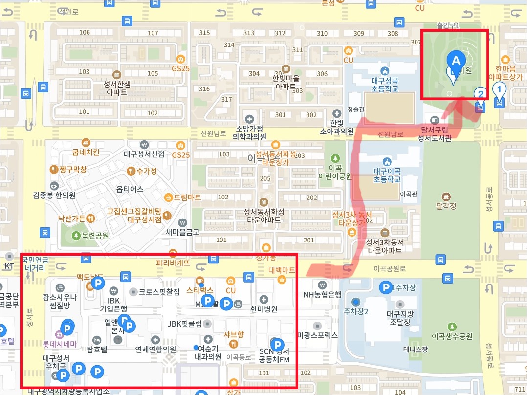 5월 강추 꽃 축제