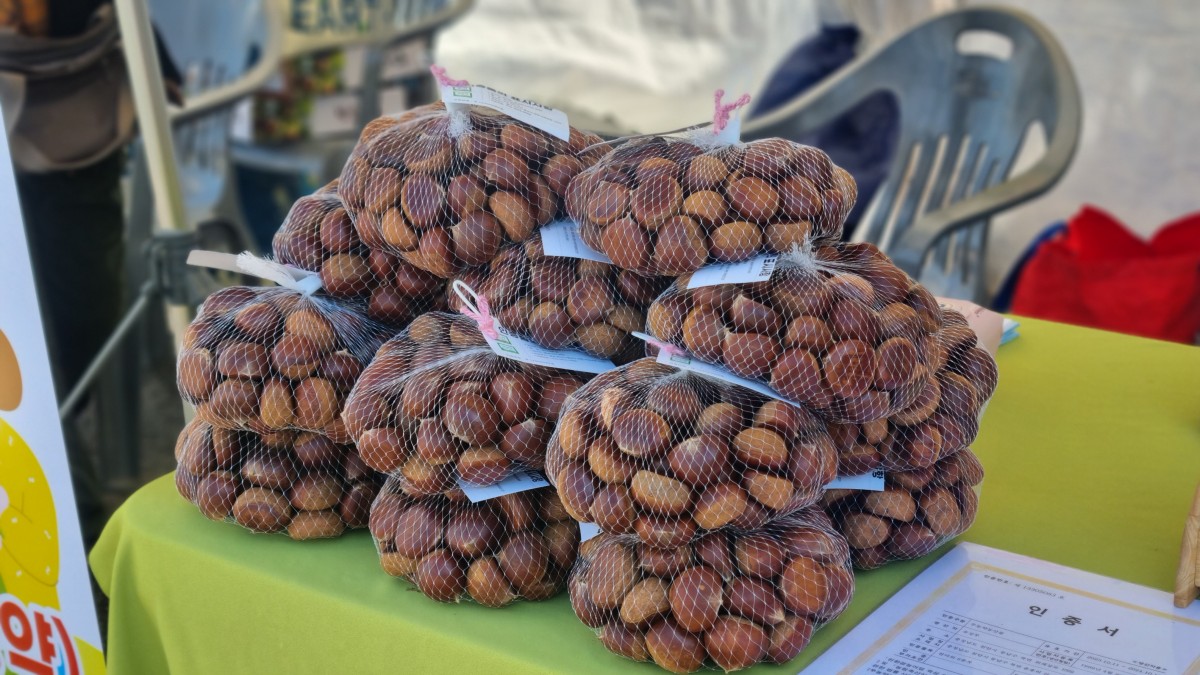 천안농부시장 로컬마켓