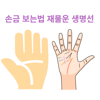 손금 보는법 재물운 생명선