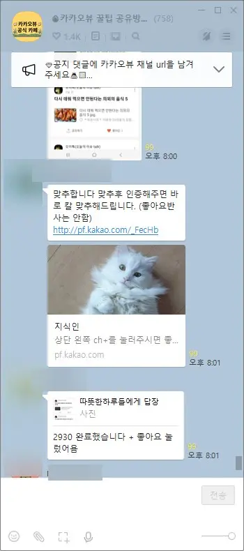 카카오뷰 개설&amp;#44;발행부터 수익신청 사진10