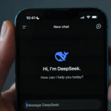 딥시크 ai 화면 및 모델