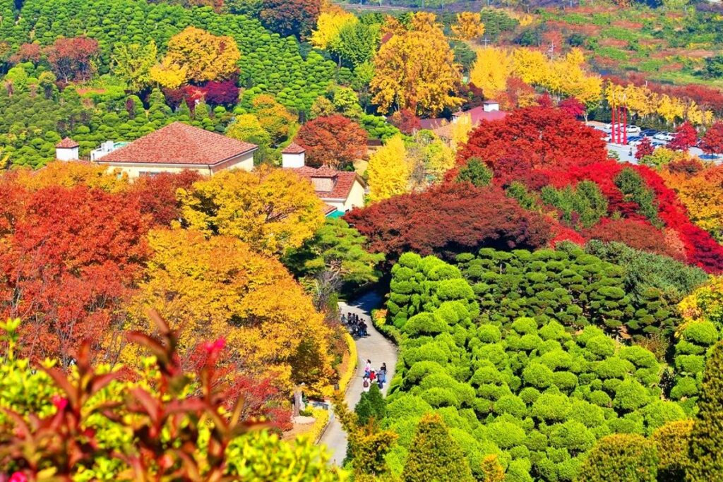베어트리파크 단풍모습