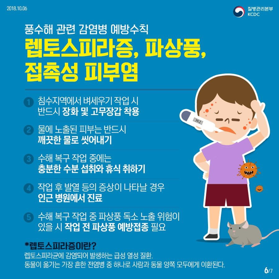 🦠 집중호우 뒤&amp;#44; &lsquo;보이지 않는 위험&rsquo; 감염병&hellip;이렇게 예방하세요