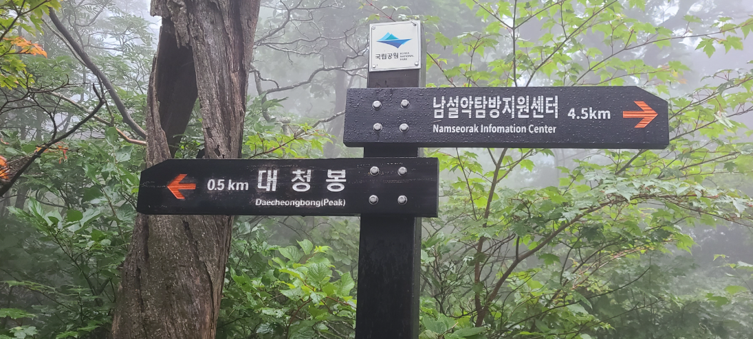 양양 가볼만한곳 베스트10