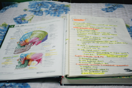 의대생의 공부 노트