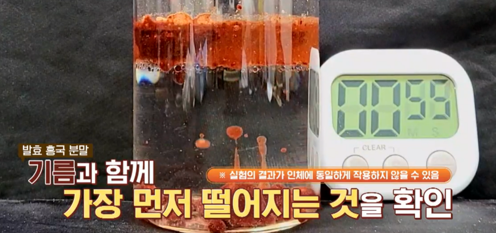 발효 홍국 효능