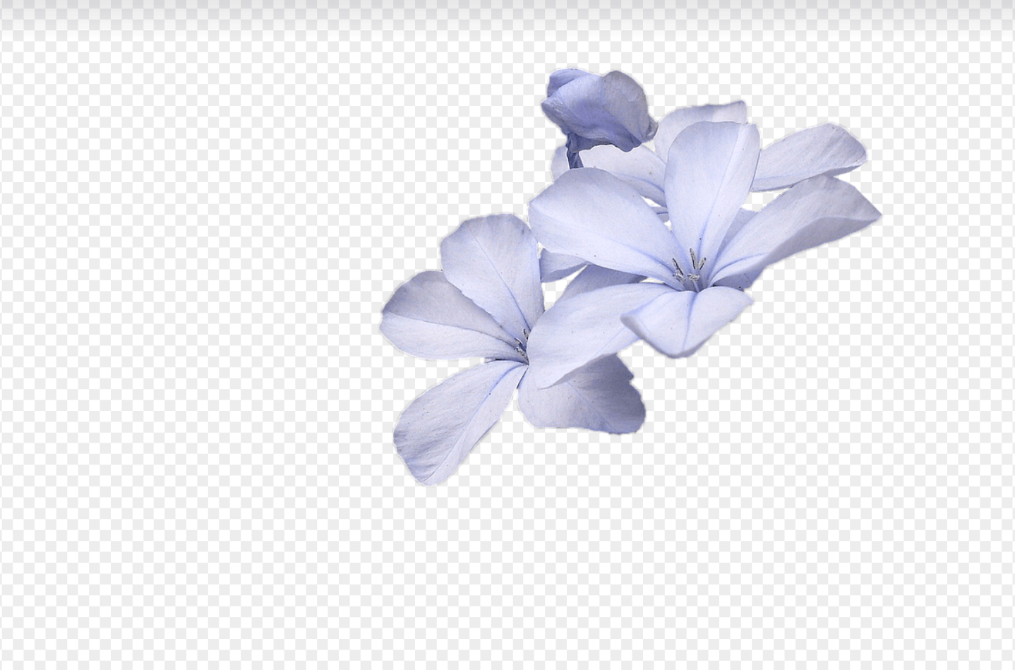 2024년 저수익 시대 투자전략