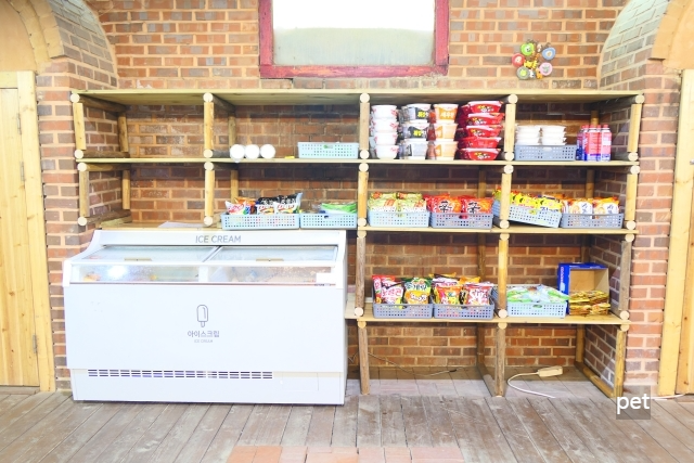 경기-연천-숲속의쉼터-캠핑장-예약-방법-애견-동반-가격-주소-시간-후기