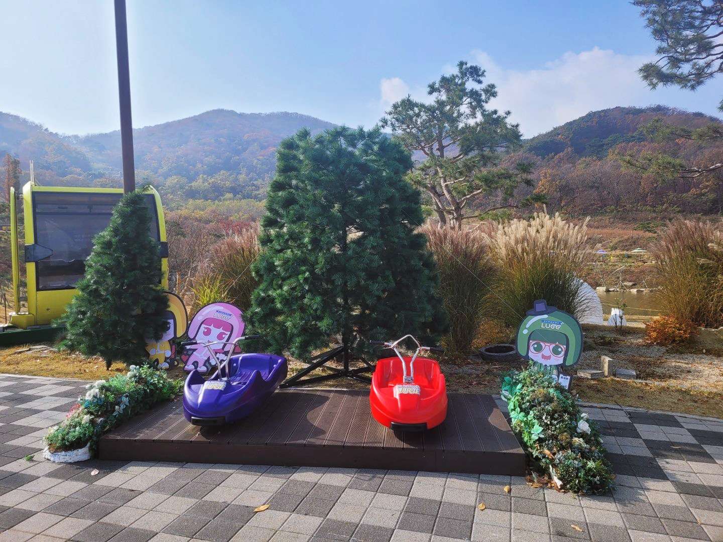 강화 루지 종류