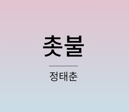 정태춘 촛불