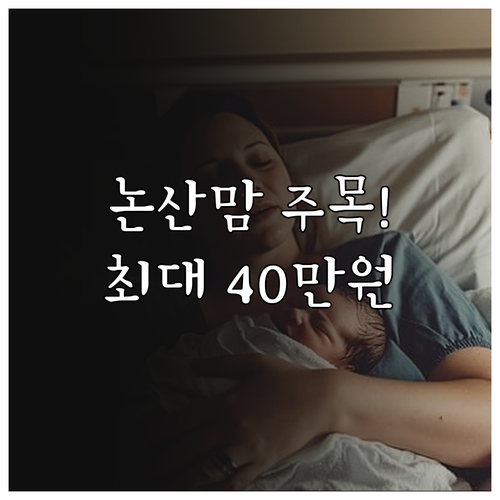 논산시 산후조리 2025 지원 최대 ..