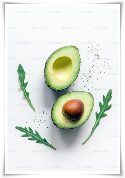 정원 "아보카도 키우기" 씨앗 하나로 나만의 초록 오아시스!