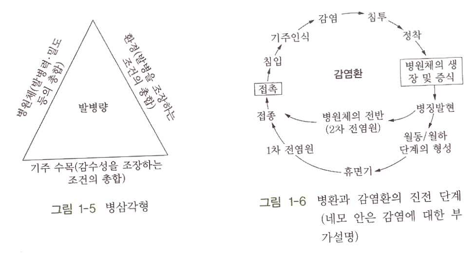 출처[신고 수목병리학] 병삼각형(=병삼각도), disease triangle