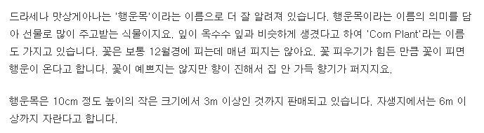 나사 선정 공기정화 식물 순위