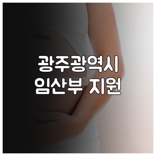 2025 광주광역시 장애인 임산부 지..